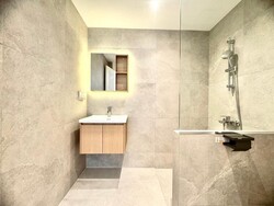 Balestier Point (D12), Apartment #542206521